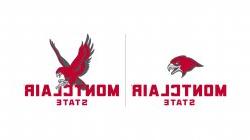 both the head-only and full-body hawk logos with type